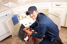 Best Plumbing System Maintenance  in Goshen, AR